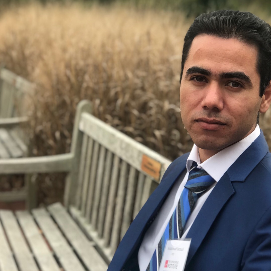 Mohammad Jamali