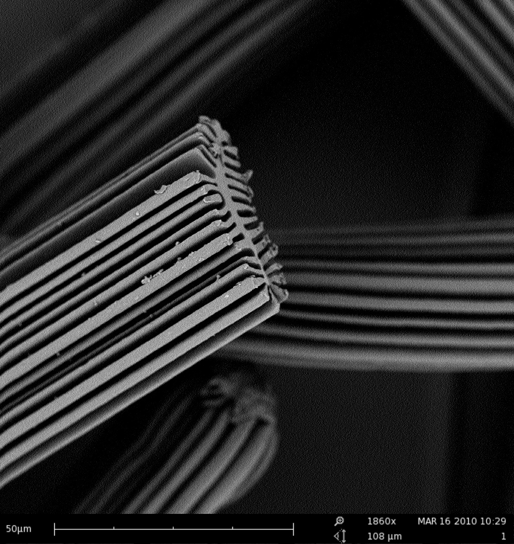 Scanning Electron Microscope (SEM) image of a fiber.