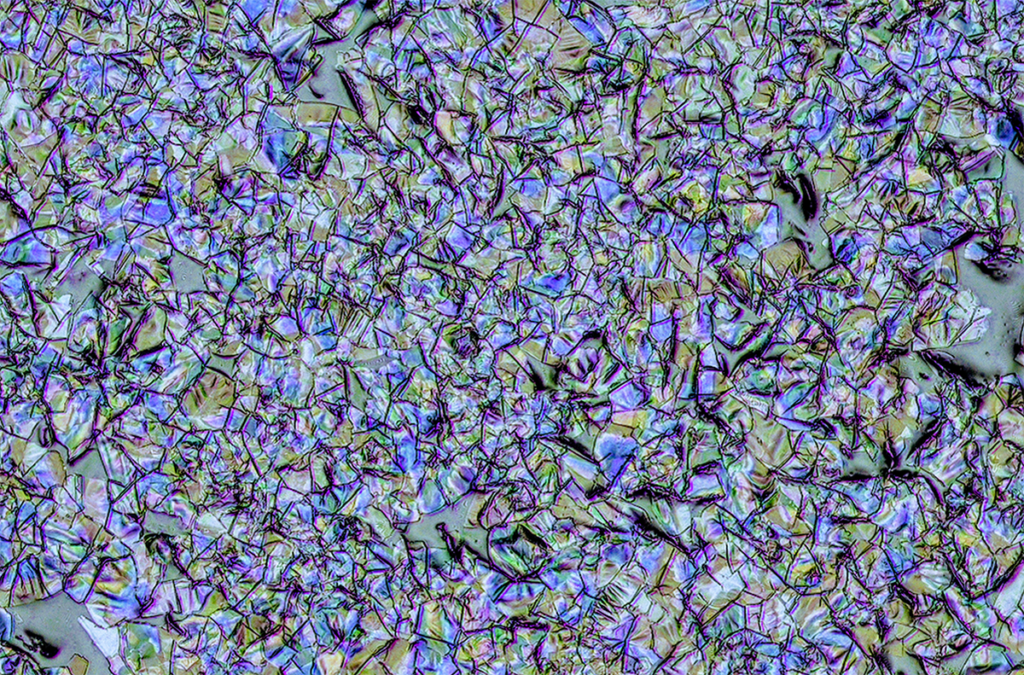 Confocal scanning laser microscopy image of the slip additive, erucamide, coated on a polymer substrate.