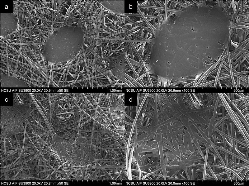 SEM Images of Spunbond Nonwovens