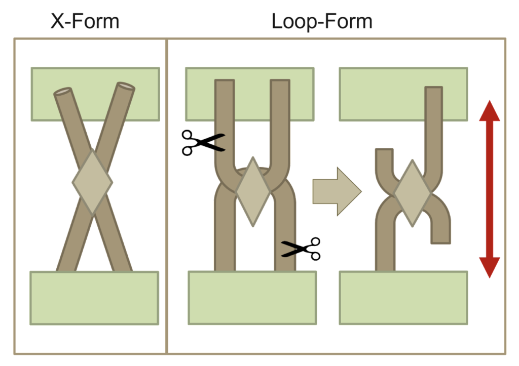 Measuring bond strength without the impacts of the web structure