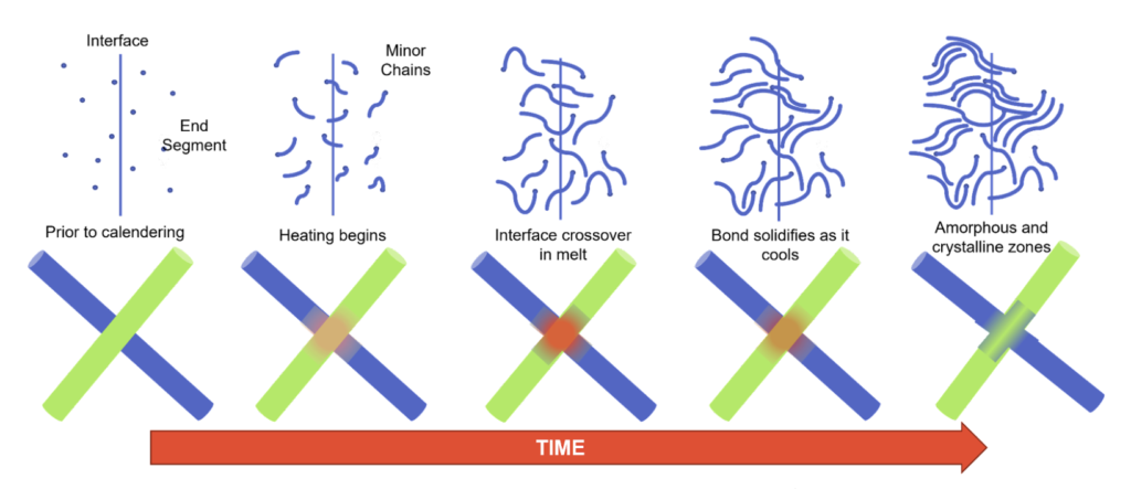 The melting and recrystallization at the bond point is a key feature in bond generation